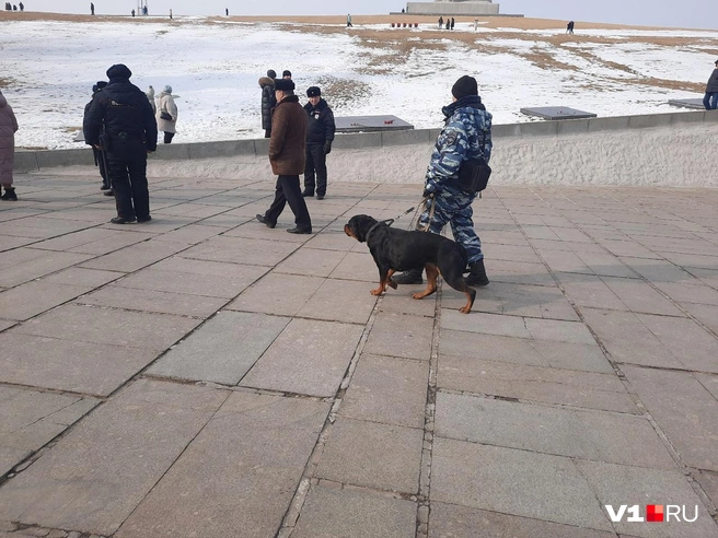 Вслед за полицейскими на кургане появились и служебные собаки | Источник: Арина Рязанова