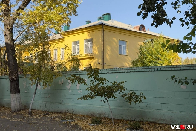 Инцидент произошел зимой, но стороны до сих пор не оставляют попыток доказать свою правоту | Источник: Алексей Волхонский / V1.RU