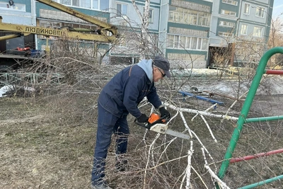 В Ульяновске вырубают опасные деревья по заявкам горожан