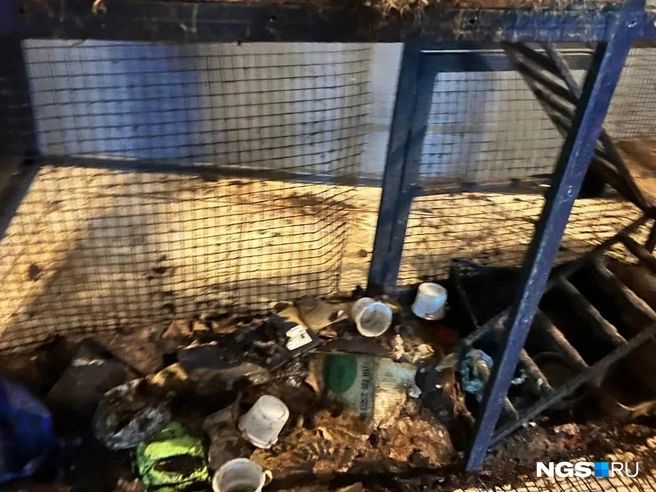 Бывшая управляющая Ника уверяет: она не виновата в хаосе, который происходит в енотокафе | Источник: Настасья Медведева / NGS.RU