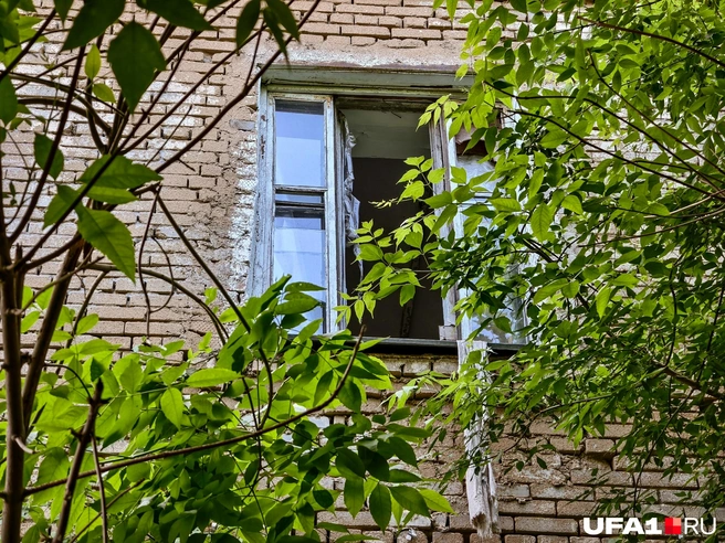 Но тут явно не ветер виновен | Источник: Булат Салихов / UFA1.RU
