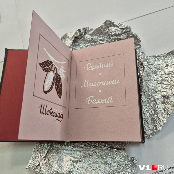 Источник: Ирина Яковлева / V1.RU