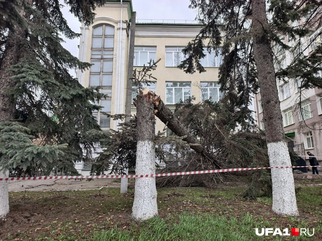 Надлом | Источник: Булат Салихов / UFA1.RU