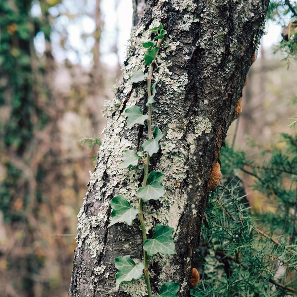 Источник: Марина Тюляева