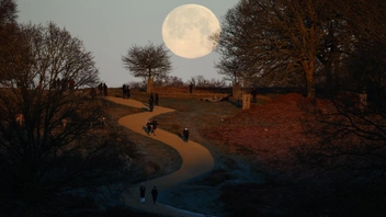 Первое в 2026 году суперлуние произошло на Земле — фотографы поделились завораживающими снимками