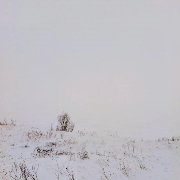 Источник: Евгения