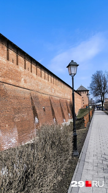 ��������: ���� ���������� / 29.RU