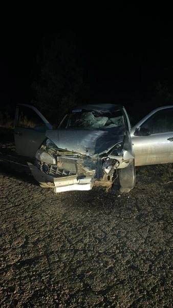 Источник: УМВД по Рязанской области