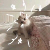 Аватарка Моргенджон