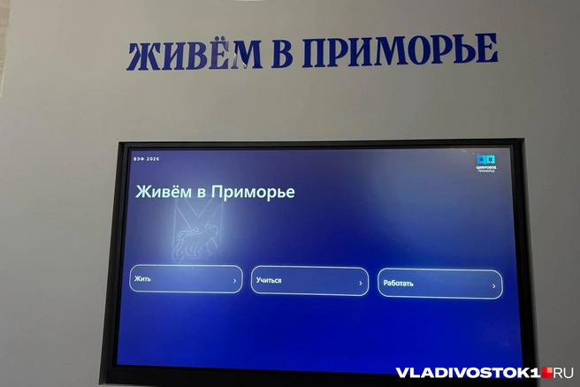 Источник: Елена Буйвол / VLADIVOSTOK1.RU