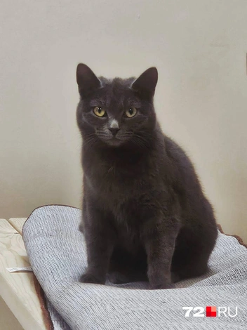 Источник: Анастасия Харламова