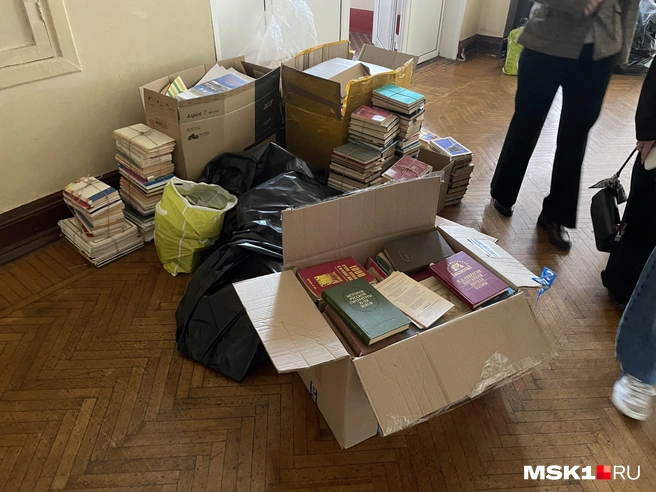 Источник: Никита Путятин / MSK1.RU