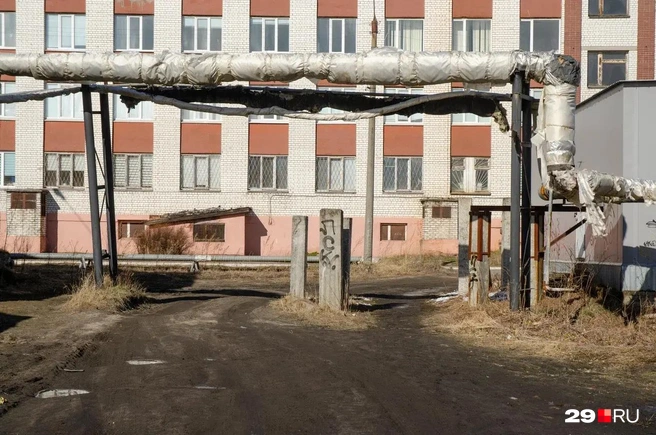 Источник: Александр Тонких