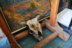 Источник: Роман Шадрин