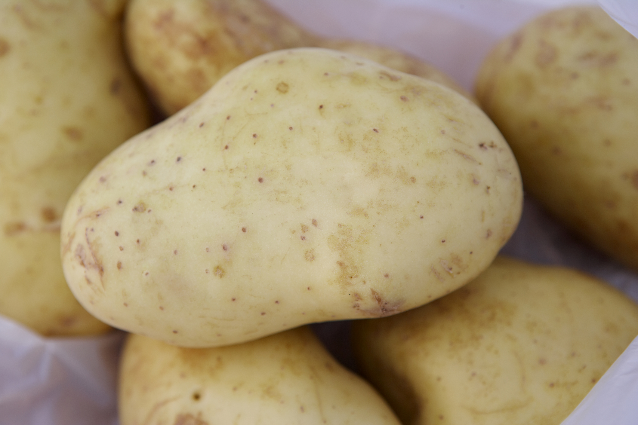 Фитофтороустойчивые сорта картофеля