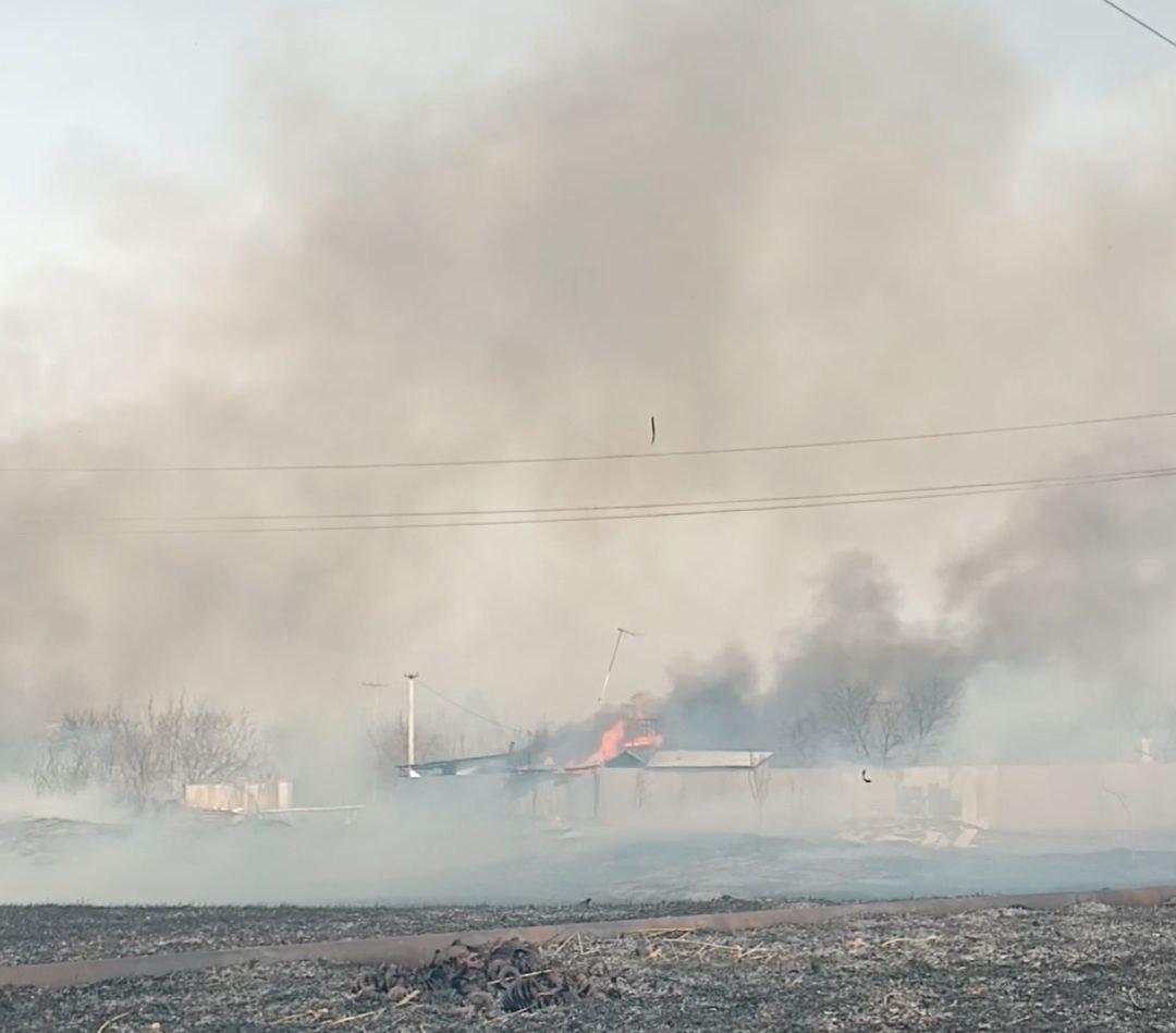 «Огонь перекинулся на дома». В СНТ на юге Волгограда разбушевался крупный пожар — видео
