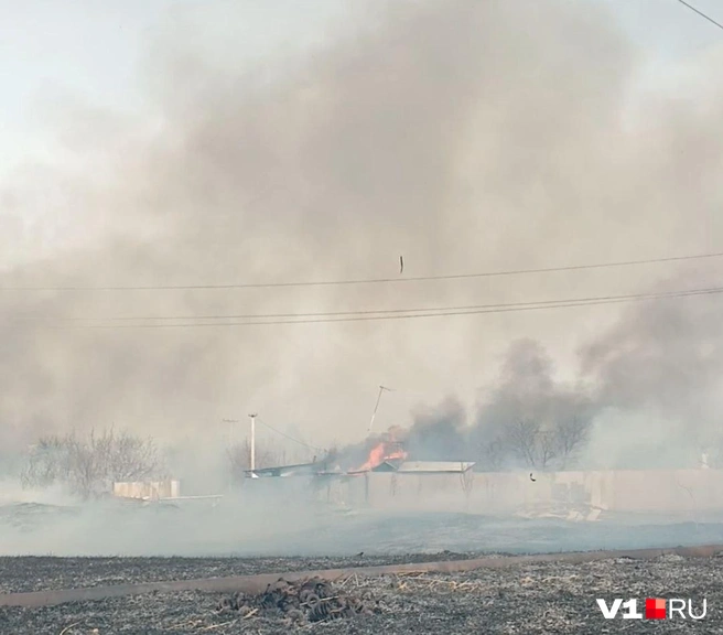 Огонь вспыхнул 16 марта в СНТ «Рябинушка» | Источник: читатели V1.RU