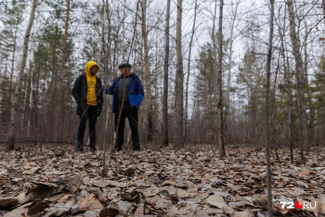 Николай уверен — лес нужен всем горожанам | Источник: Ирина Шарова / 72.RU