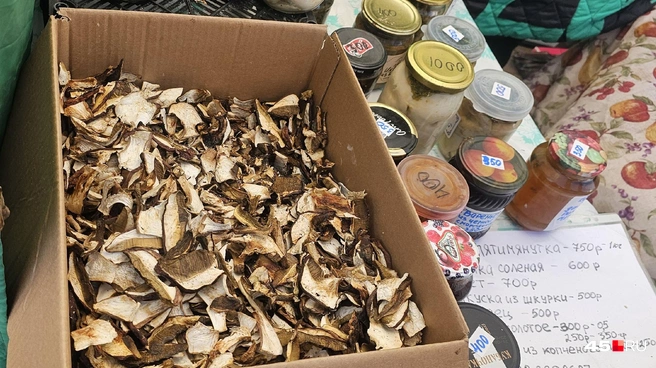 Сушенные белые грибы | Источник: Дарья Никитченко / 45.RU