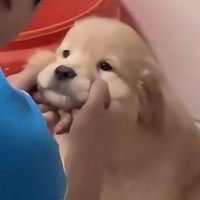 Аватарка truhele1