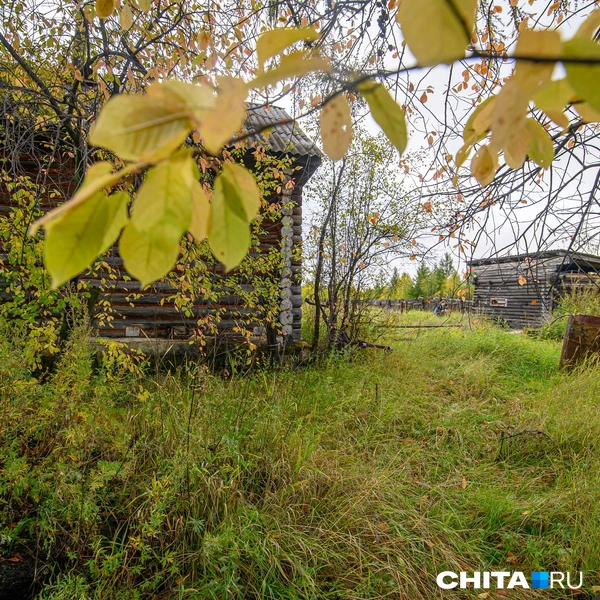 Источник: Олег Фёдоров / CHITA.RU