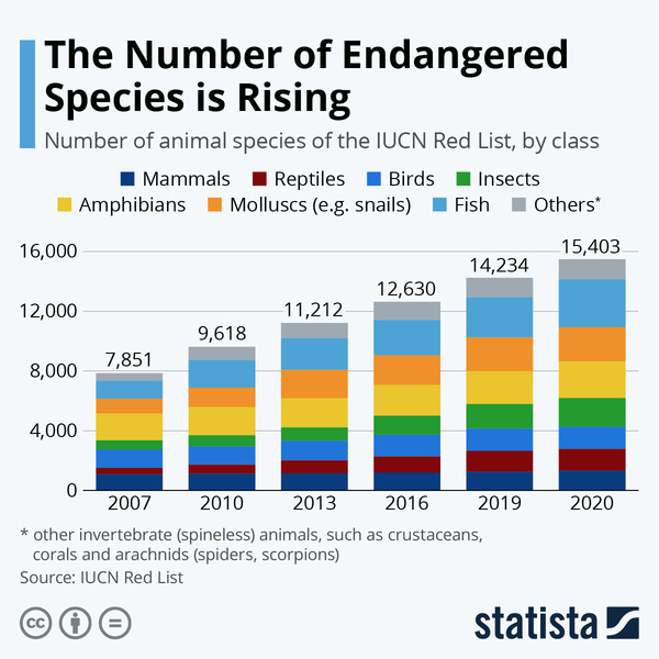 Инфографика: как растет число вымирающих видов животных