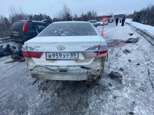 Источник: Госавтоинспекция Тюменской области