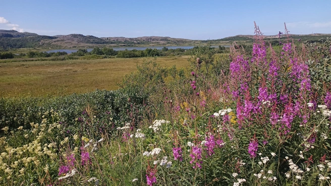 Источник: архив Эльвиры Айнетдиновой