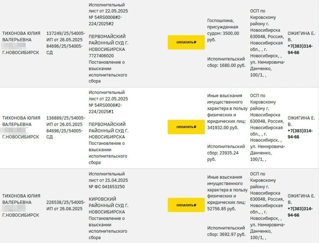 Это лишь часть долгов Юлии Тихоновой, на которые уже обращено взыскание. Общая сумма почти достигла миллиона рублей | Источник: fssp.gov.ru
