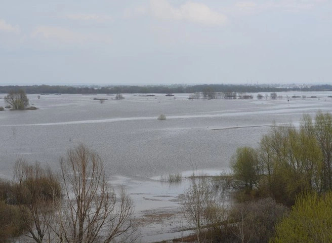 Уровень воды в Оке в черте Рязани упал до 4,5 м | ya62.ru