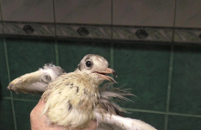 Источник: Елена Фурцева