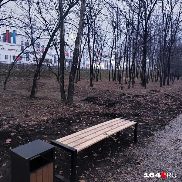 Источник: Сергей Гендин / 164.RU