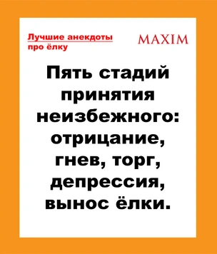 Лучшие анекдоты про елку