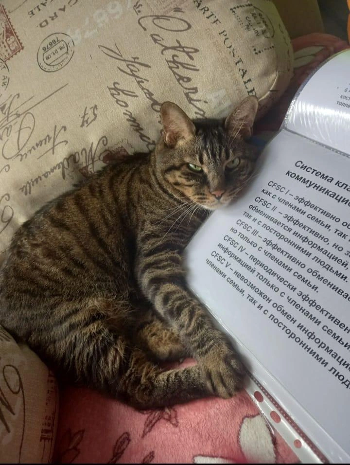 Источник: Валентина