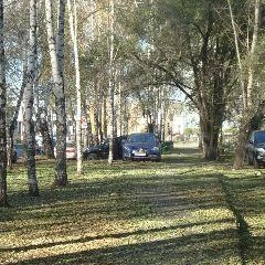 Ожидается потепление до +6 градусов | Источник: www.city-n.ru