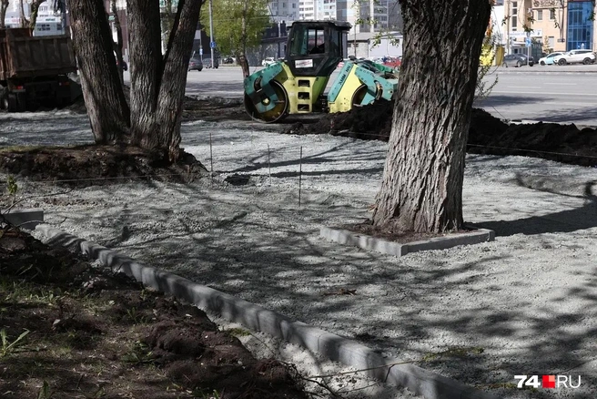 При виде так плотно обордюренных деревьев плакать хочется не только экологам | Источник: Наталья Лапцевич