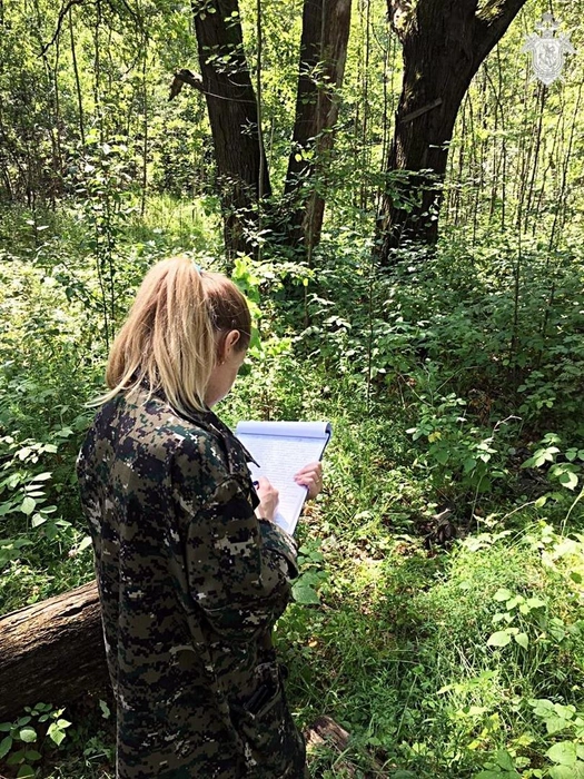 В ходе расследования выяснилось, что Чекановский причастен к двум преступлениям против половой неприкосновенности, совершенных 8 и 12 лет назад | Источник: СУ СК по Нижегородской области