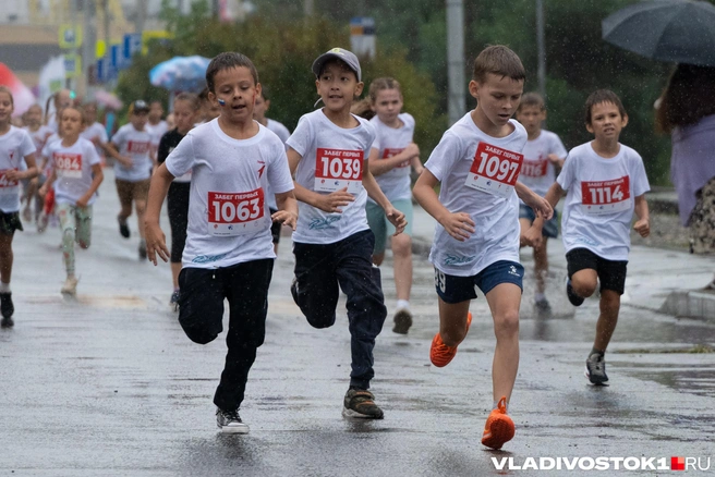Источник: Елена Буйвол / VLADIVOSTOK1.RU