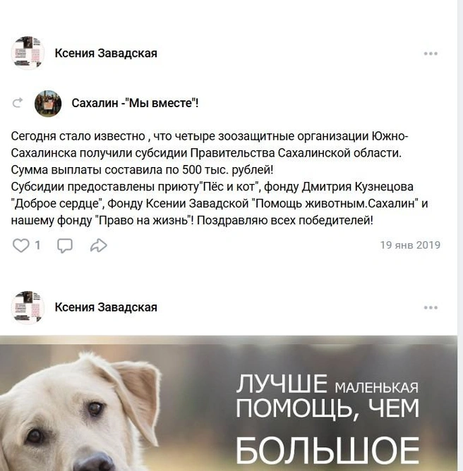 Ксения хвалится субсидией из бюджета на странице своего фонда во «ВКонтакте». И это лишь одна из субсидий | Источник: pomogi_segodnya / Vk.com