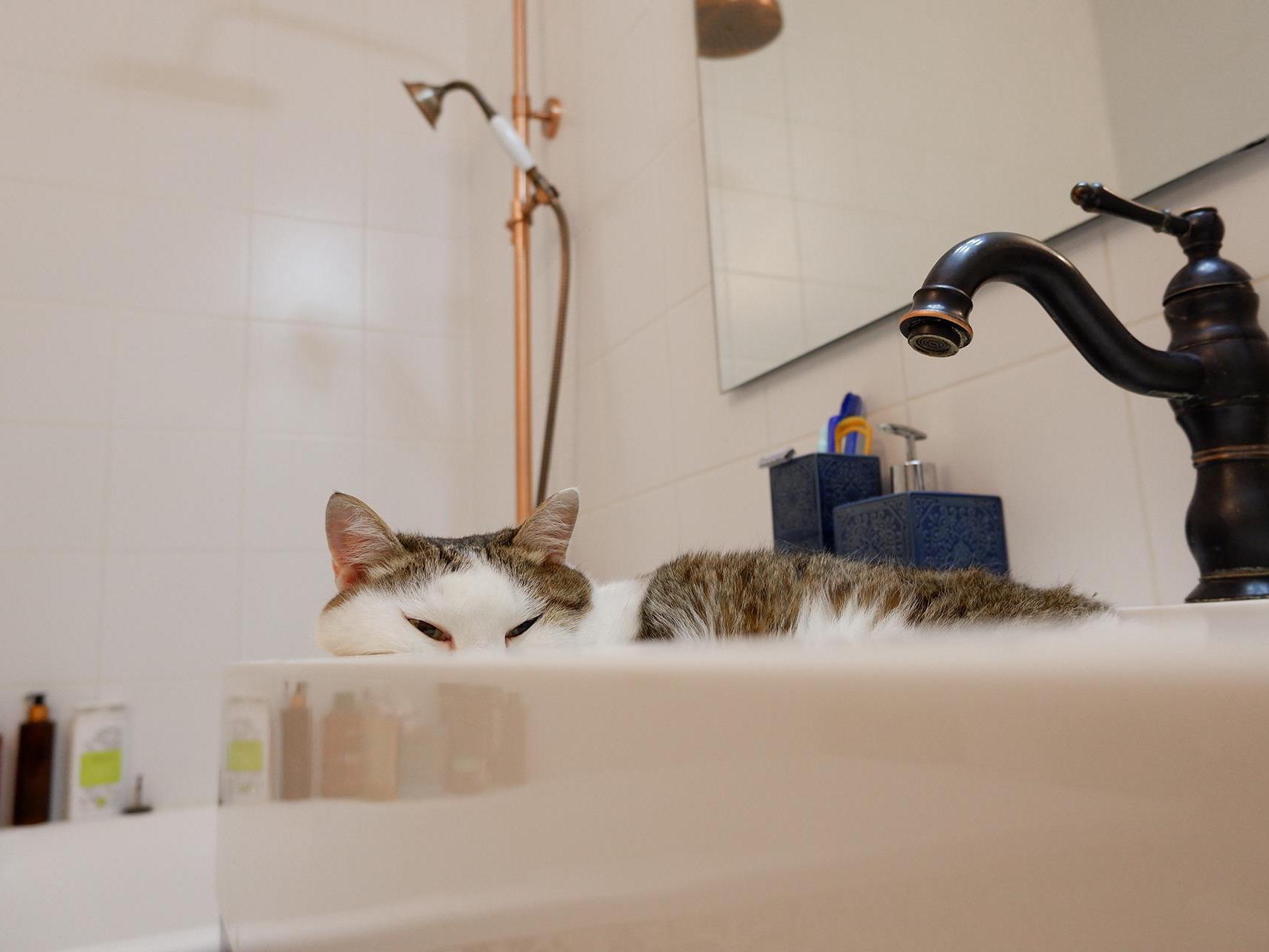 Более 40 домов в Подмосковье остались без воды