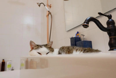 Более 40 домов в Подмосковье остались без воды