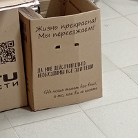 Аватарка Molly