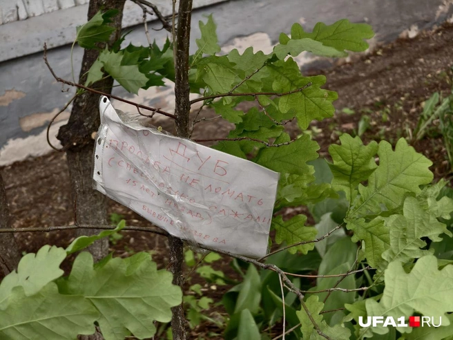 Вот и записка от бывших хозяев | Источник: Булат Салихов / UFA1.RU
