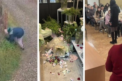 События выходных в Татарстане: трагедия, дебош, собаки