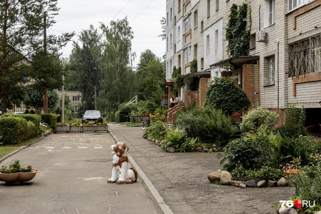В зелени утопают и подъезды, и задний двор дома  | Источник: Александр Куренной / 76.RU