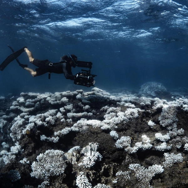 Третье место в номинации «Климат» | Источник: Brooke Pyke / Oceania Photo Contest 2025