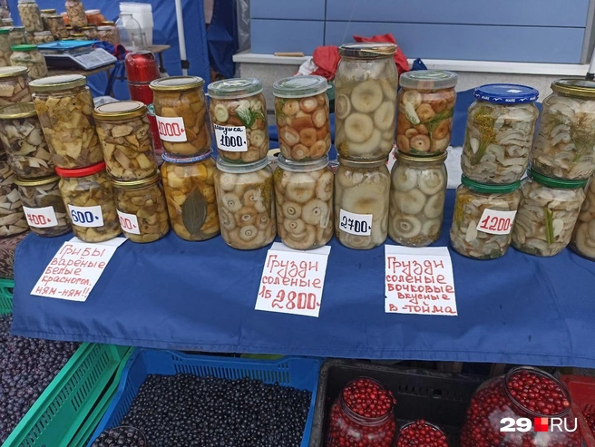 Источник: Иван Митюшёв / 29.RU