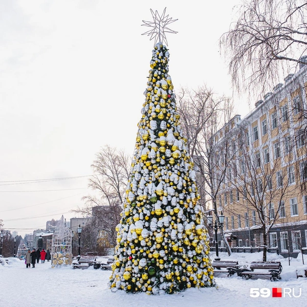 Источник: Тимофей Калмаков / 59.RU