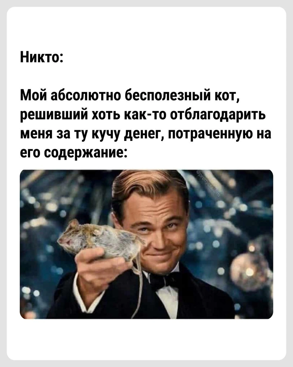 Ну ведь хозяин-то сам не поймает! | Источник: Городские медиа