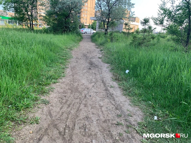 Протоптанная дорожка к остановке | Источник: Полина Котышева / MGORSK.RU